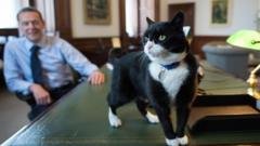 Former Foreign Office cat Palmerston dies in Bermuda