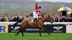 Two more horses die on final day of Cheltenham
